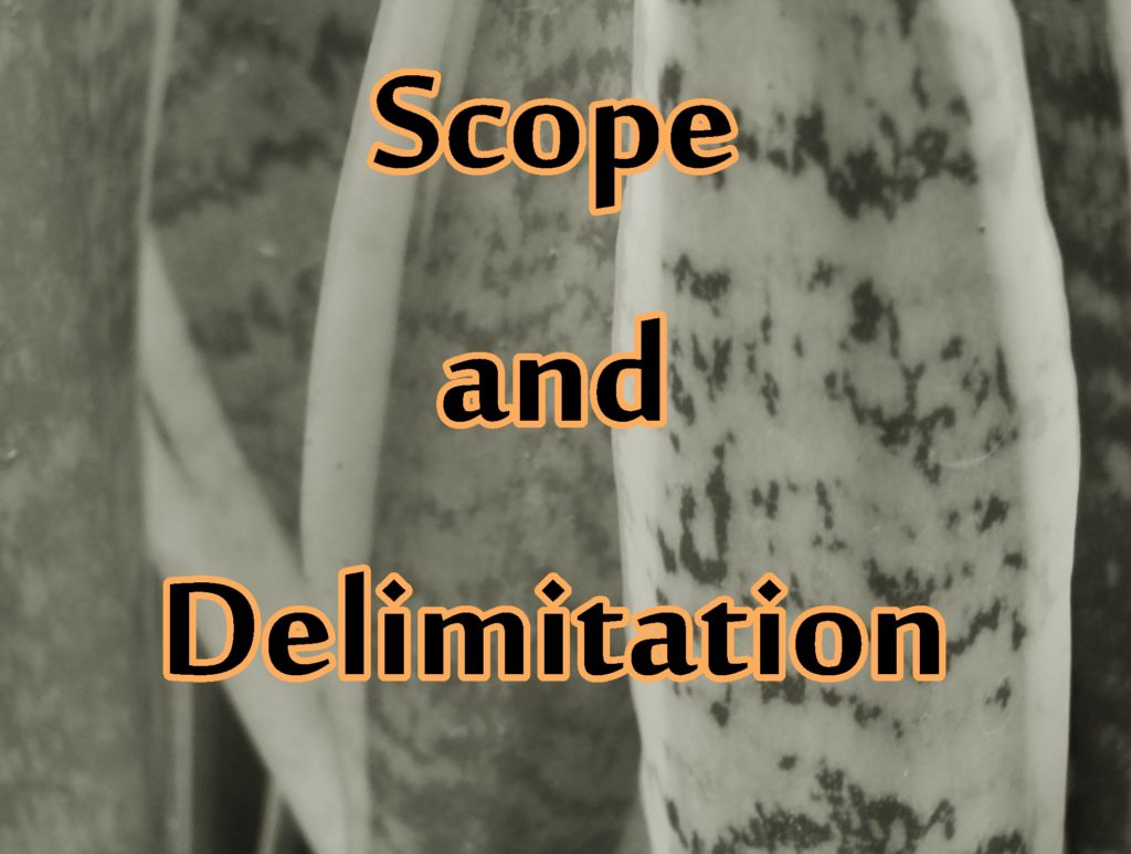 What Is The Scope And Delimitation Of The Study About Academic Performance