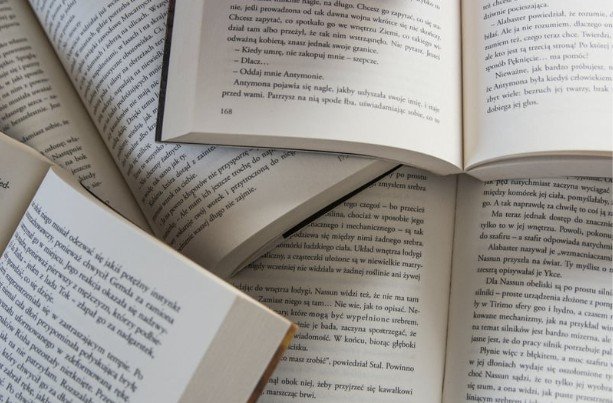 What Is a Literature Review? A Beginner’s Guide